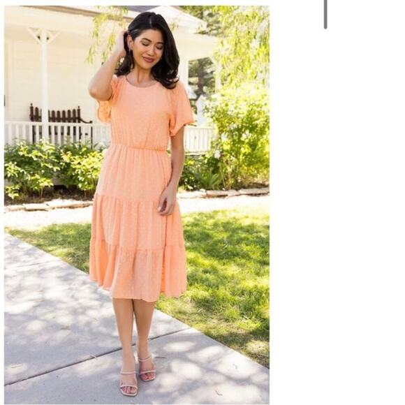 NWT Orange Swiss Dot Midi Dress- size Large - Picture 9 of 9